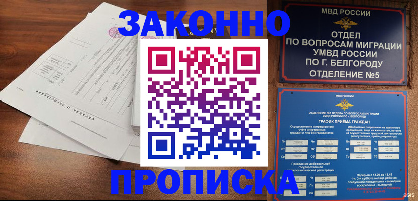 прописка в Лосино-Петровском